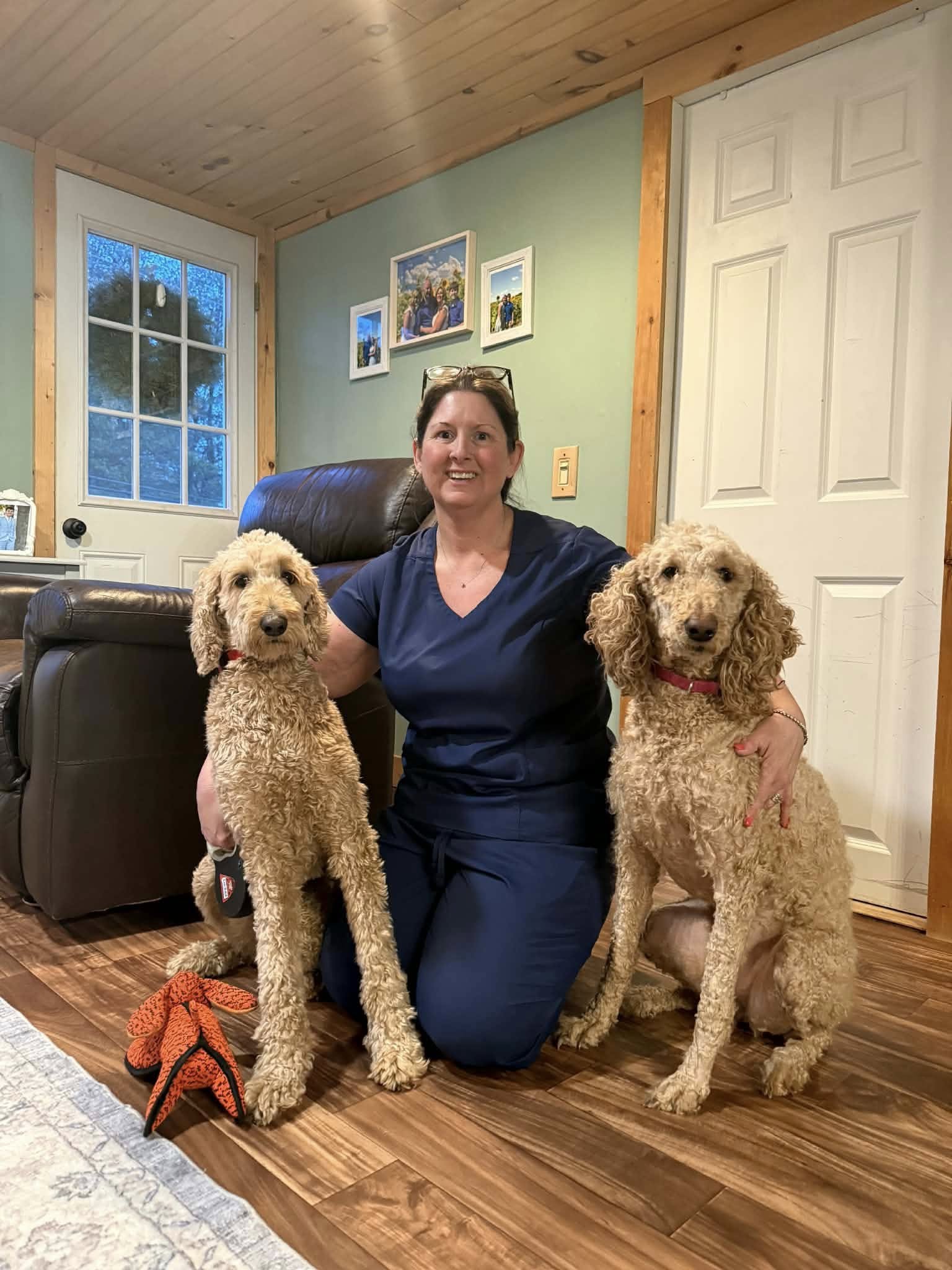 Bridgewood Doodle Farm